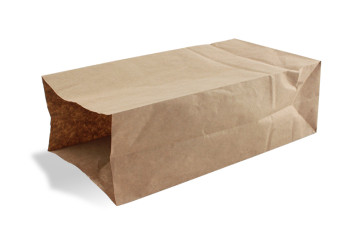 Brown paper bag, large