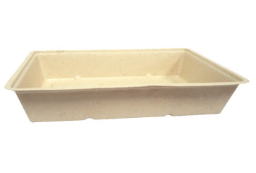 A50 snack tray, cane sugar