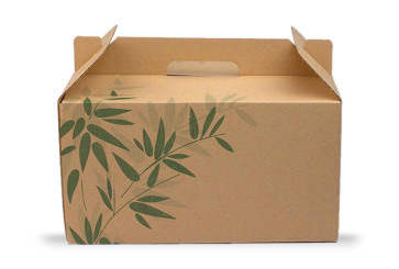 Take Away box small with handle