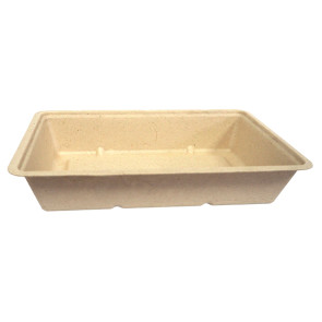 A13 snack tray, cane sugar